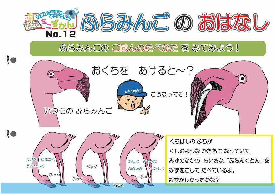 写真：ミニ図鑑No.12