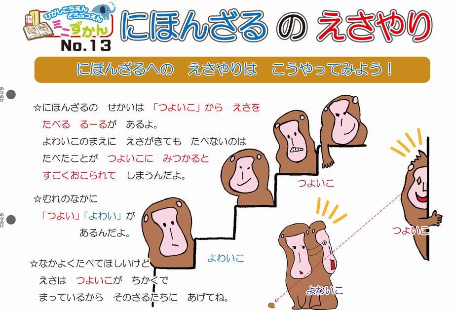 写真：ミニ図鑑No.13