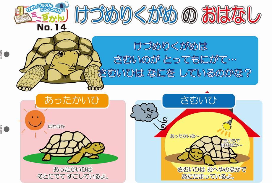 写真：ミニ図鑑No.14