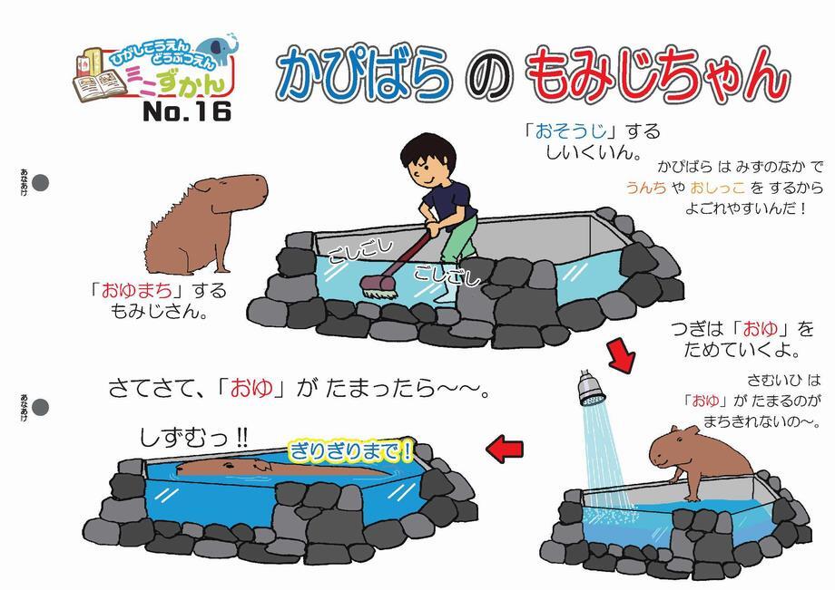 写真：ミニ図鑑No.16