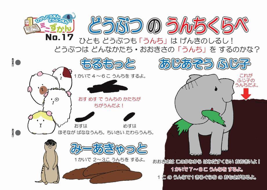 写真：ミニ図鑑No.17