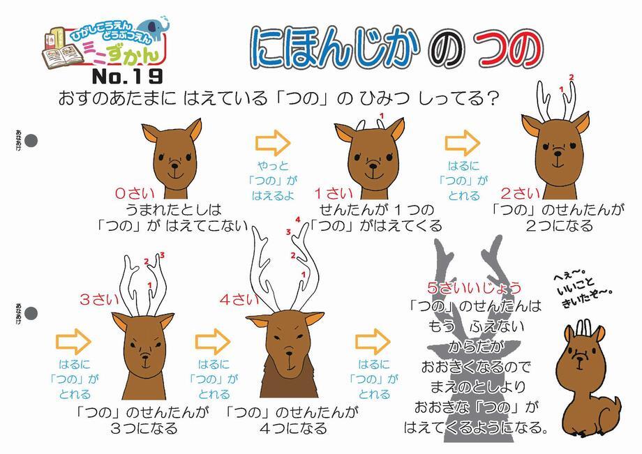 写真：ミニ図鑑No.19