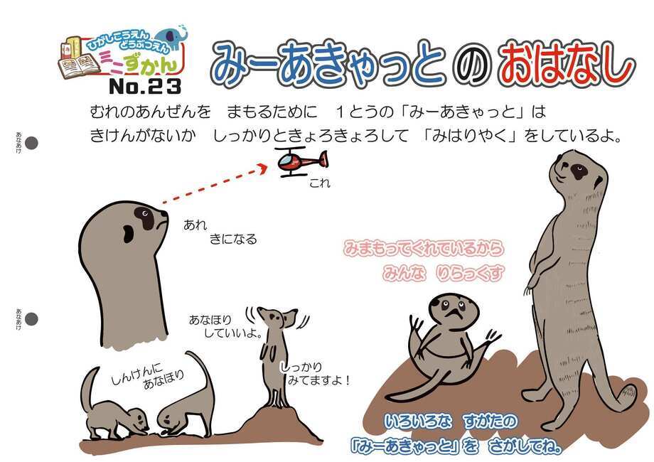 写真：ミニ図鑑No.23