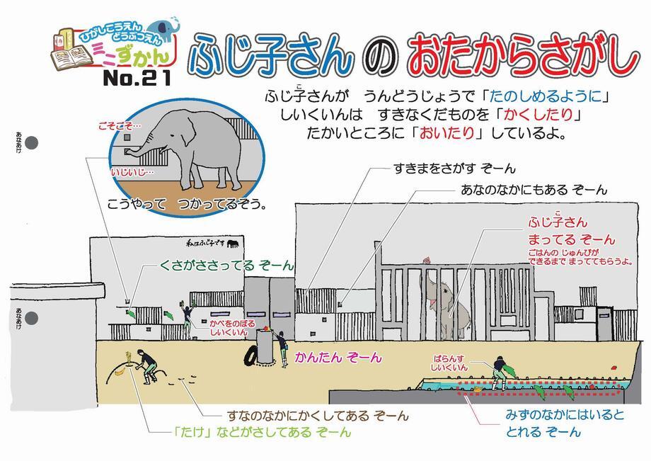 写真：ミニ図鑑No.21