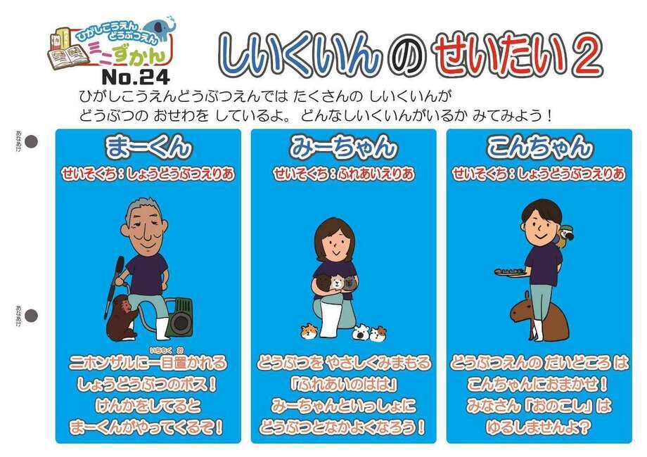 写真：ミニ図鑑No.24