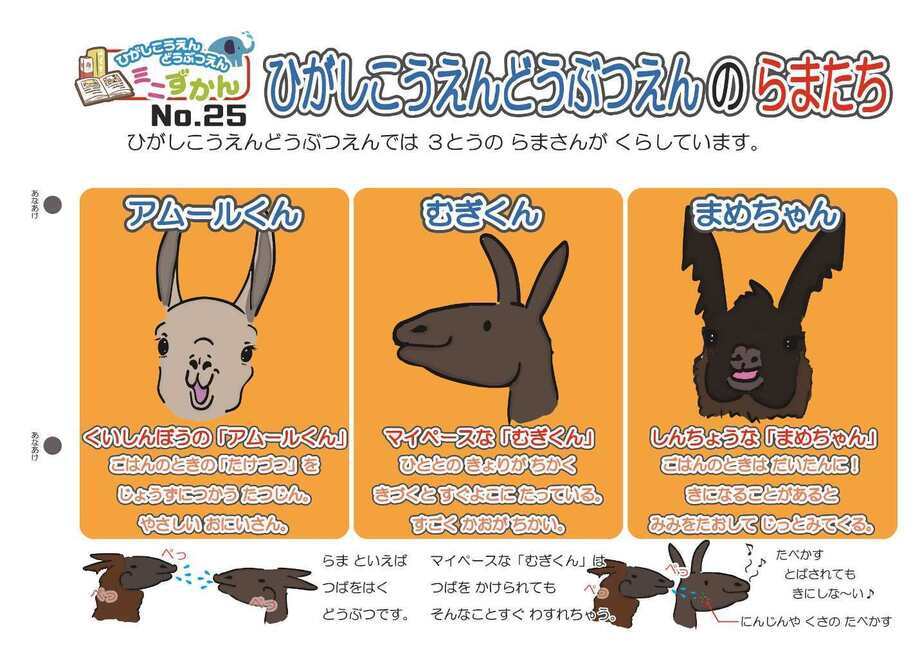 写真：ミニ図鑑No.25