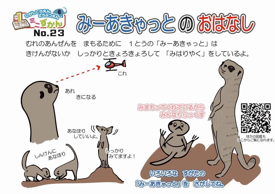 写真：ミニ図鑑No.23