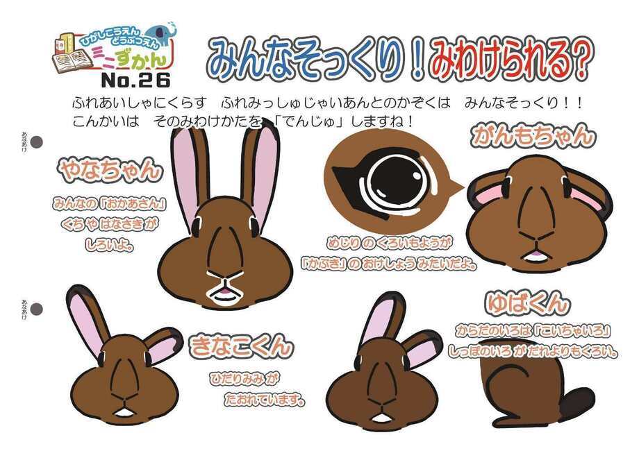 写真：ミニ図鑑No.26