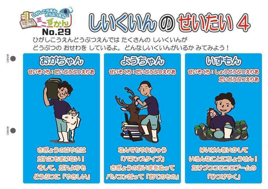 写真：ミニ図鑑No.29