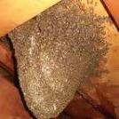 写真：ミツバチの巣