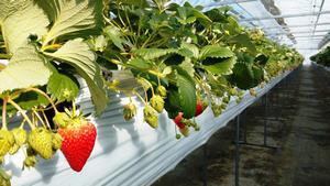 写真：中部イオン会様　国内研修3