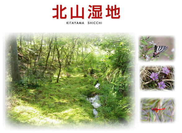 写真：北山湿地
