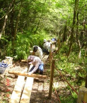 写真：木道の整備