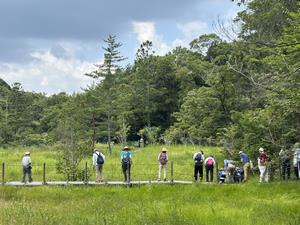 湿地観察の写真