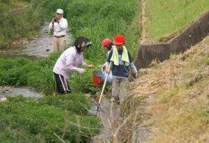 写真：鳥川ホタルの里湧水群2