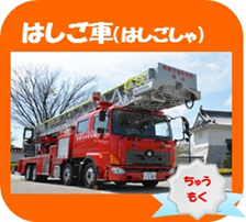 写真：はしご車（はしごしゃ）