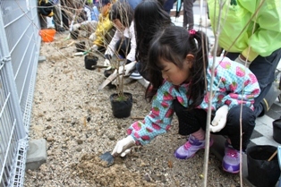 写真：植樹の様子