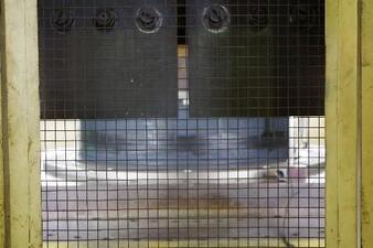 写真：免震装置2