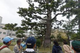 写真：南部地域の岡崎百景を中心に巡る景観ツアーの様子3