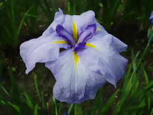 小青空　こあおぞら