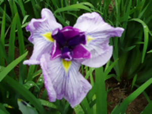 三筋の糸　みすじのいと