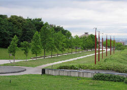 写真：ユリノキ並木と風車