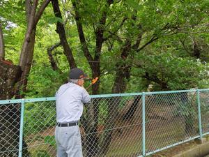 写真：棚田公園枝剪定