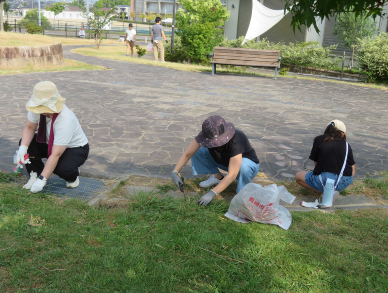 写真：春咲の丘公園花壇