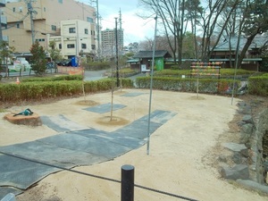 桜を植樹した写真1