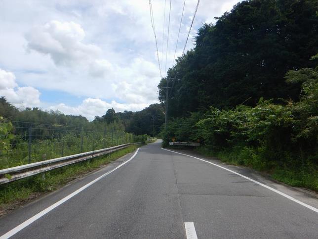 写真：保母生平線