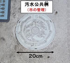 写真：一般的な公共ます2　汚水公共桝（ます）（市の管理）　20センチメートル