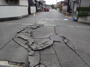写真：1次調査の様子3