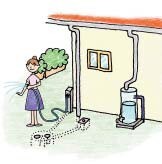 イラスト：水やり