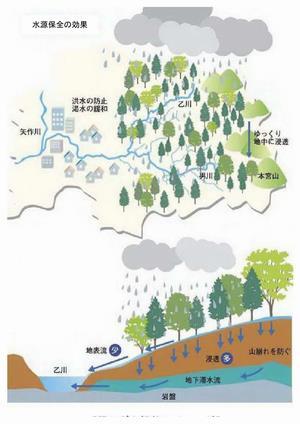 イラスト：水源保全の効果