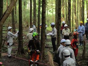 写真：林分調査作業の様子