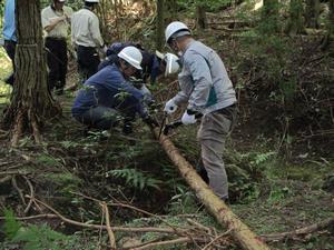写真：間伐作業枝払いの様子2