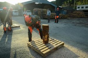 写真：チェーンソーの体験