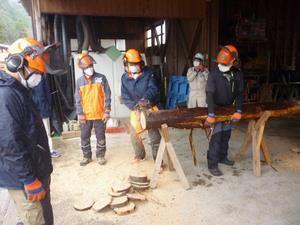 写真：チェーンソー玉切り体験の様子