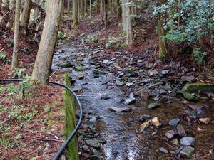写真：水道水源の様子1