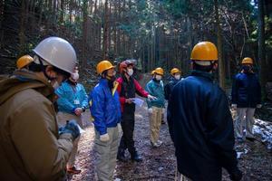 写真：間伐体験1