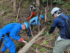 写真：枝払い作業