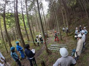 写真：林分調査