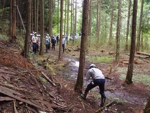 写真：間伐作業