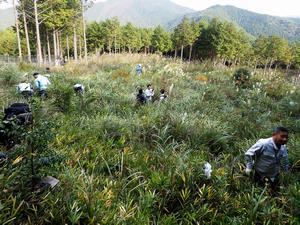 写真：植樹の様子