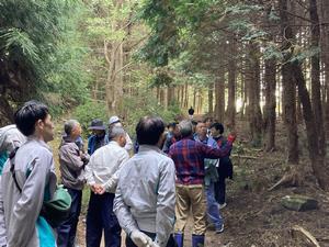 写真：間伐について説明を受ける様子