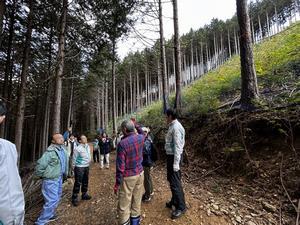 写真：間伐+植樹した場所で説明を受ける様子