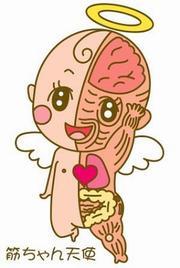 イラスト：筋ちゃん天使
