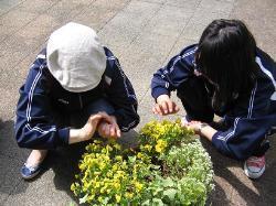 写真：植物の世話をしている様子