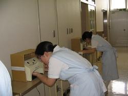 写真：グリッダーバグ