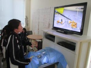 写真：腹腔鏡手術体験1